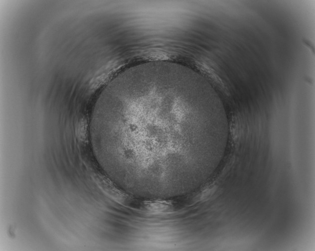 X0000102830359200808251139