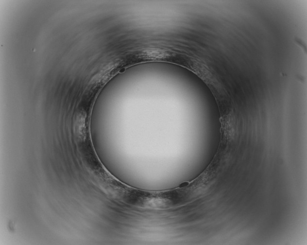 X0000102830360200808251139