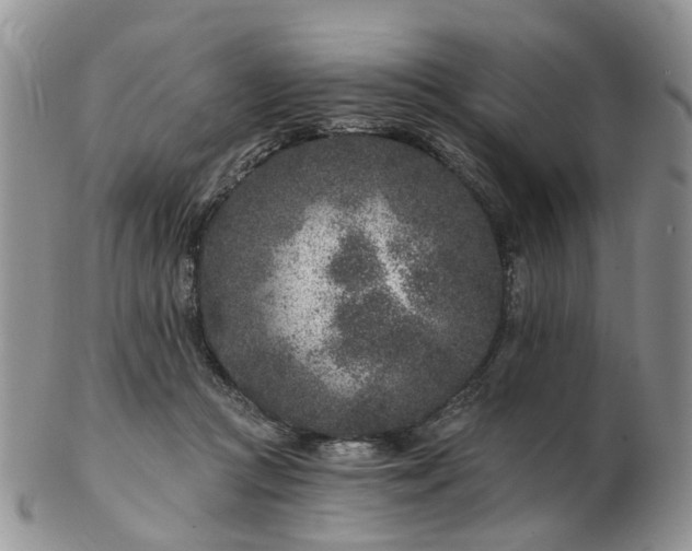 X0000102830361200808251139