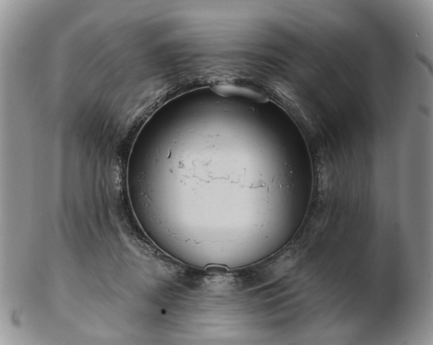 X0000102830362200808251139