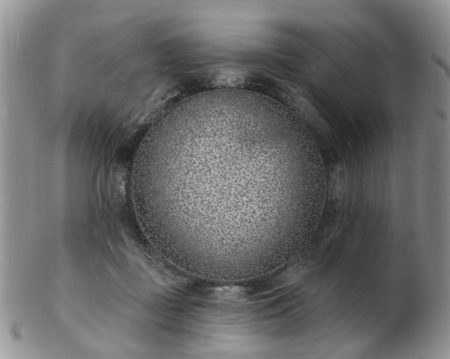 X0000102830363200808251139