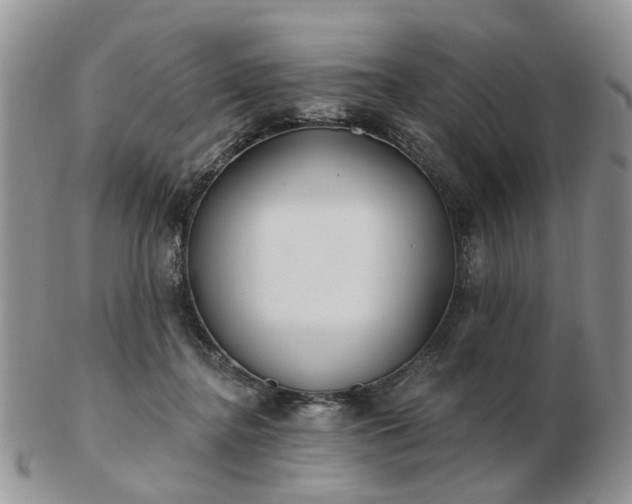 X0000102830364200808251139