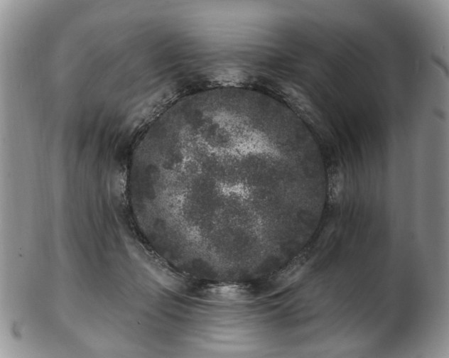 X0000102830365200808251139