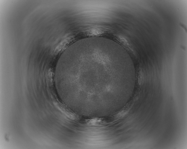 X0000102830366200808251139