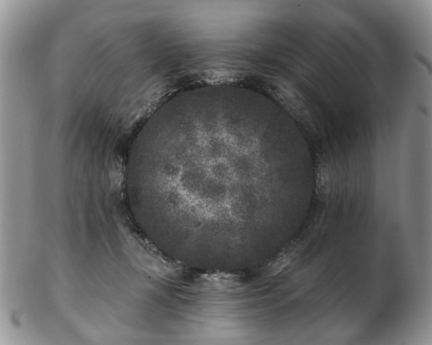 X0000102830367200808251139