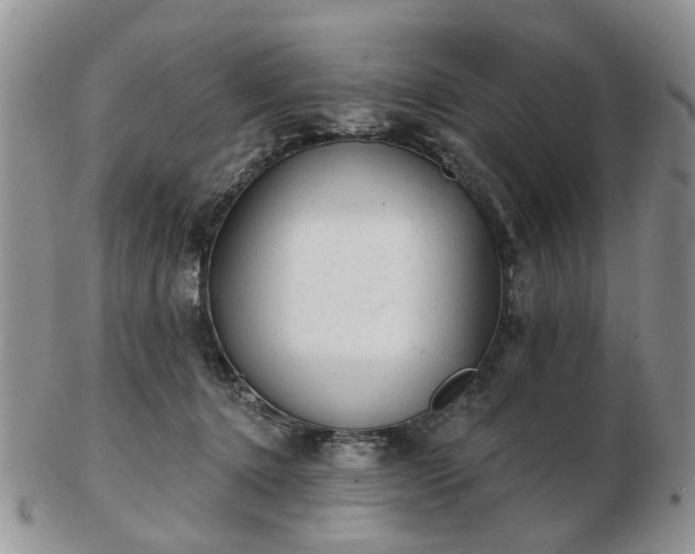 X0000102830368200808251139