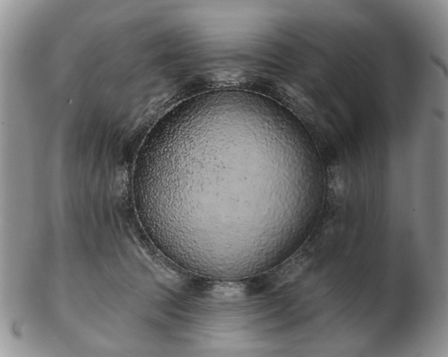 X0000102830369200808251139