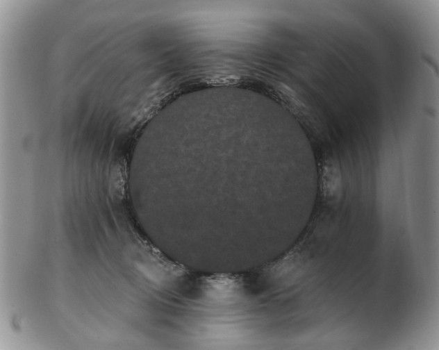 X0000102830370200808251139