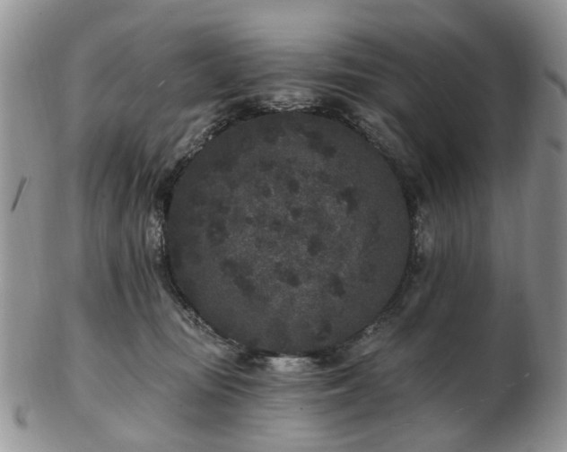 X0000102830371200808251139