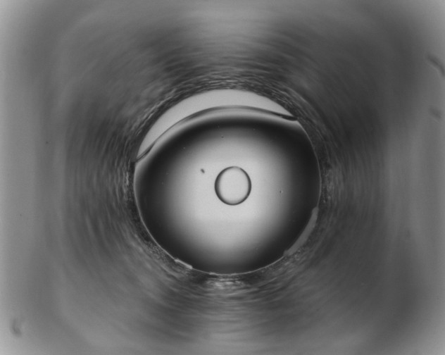 X0000102830372200808251139