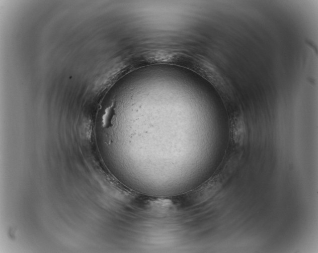 X0000102830374200808251139