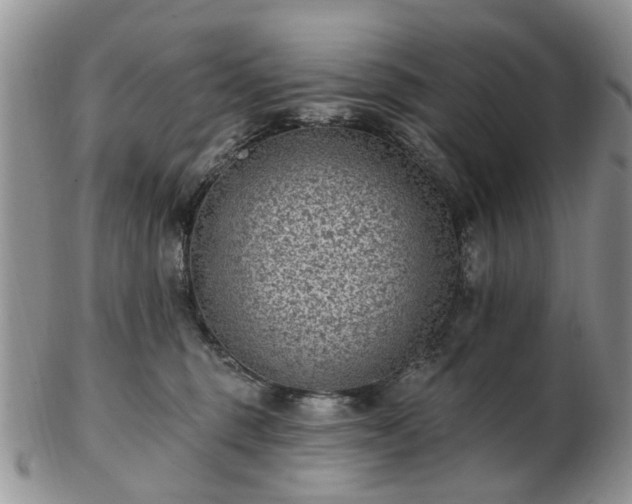 X0000102830375200808251139