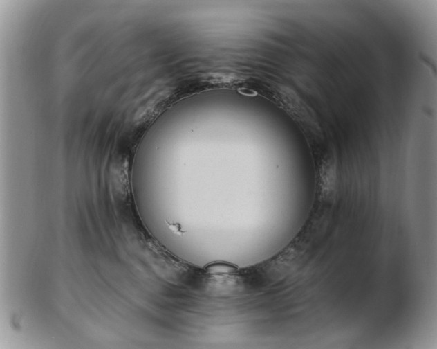 X0000102830376200808251139