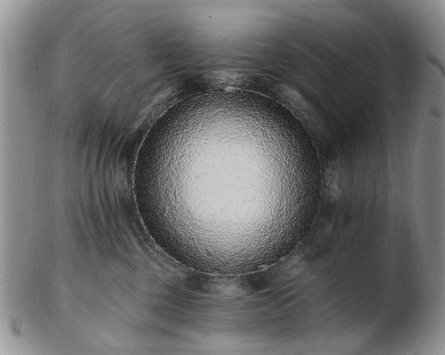 X0000102830377200808251139