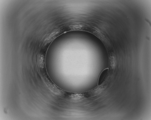 X0000102830378200808251139