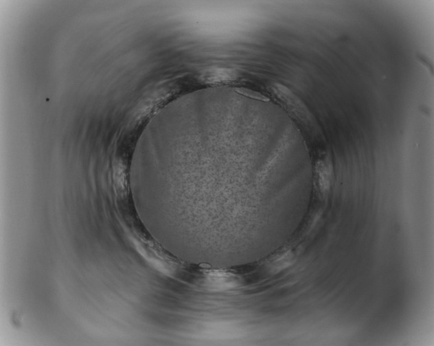 X0000102830380200808251139