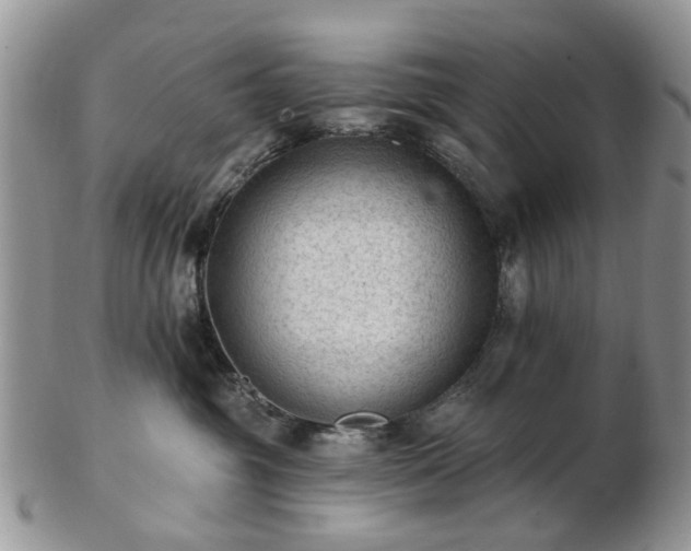 X0000102830381200808251139