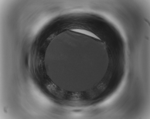 X0000102830382200808251139