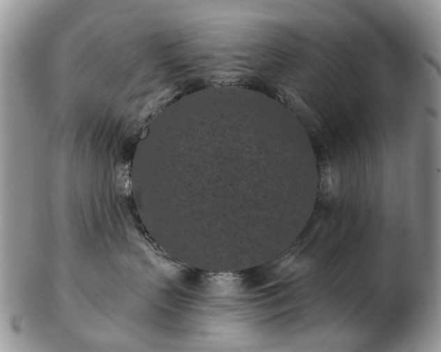 X0000102830383200808251139