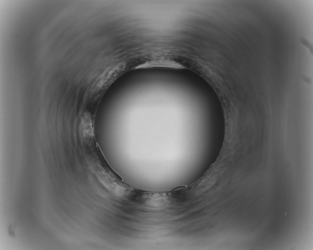 X0000102830384200808251139