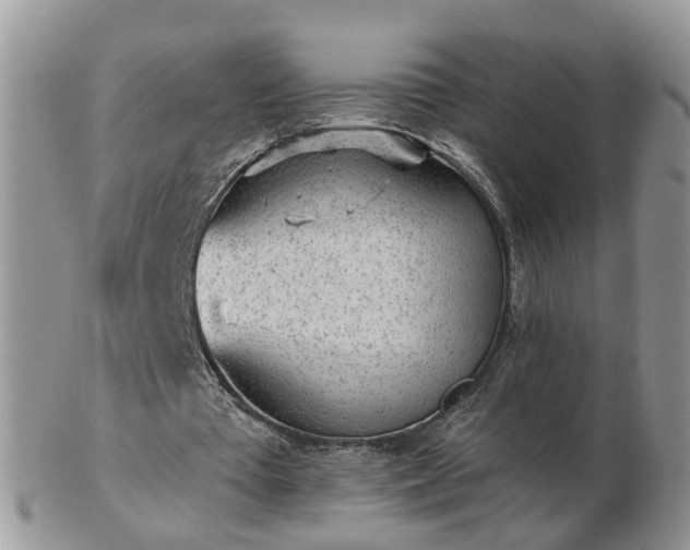 X0000102830385200808251138