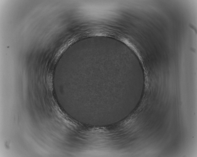 X0000102830386200808251138