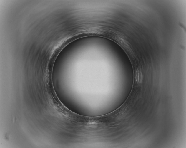 X0000102830388200808251138