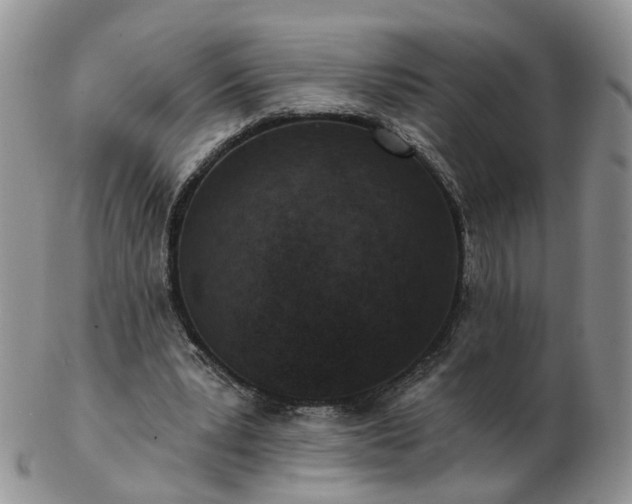 X0000102830391200808251138