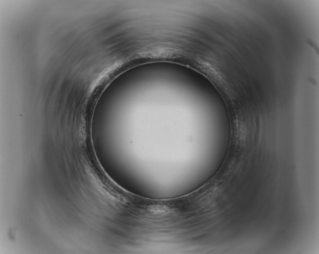 X0000102830392200808251138