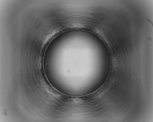 X0000102830395200808251138