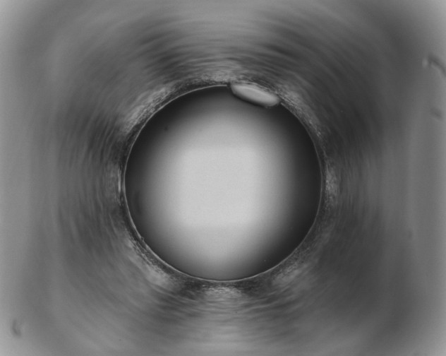 X0000102830397200808251138