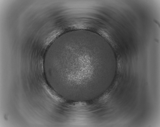 X0000102830398200808251138