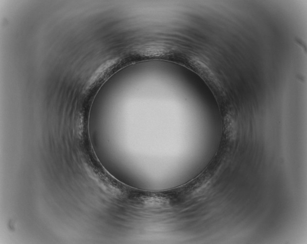 X0000102830400200808251138