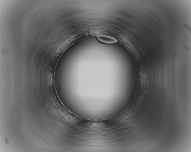 X0000102830401200808251138