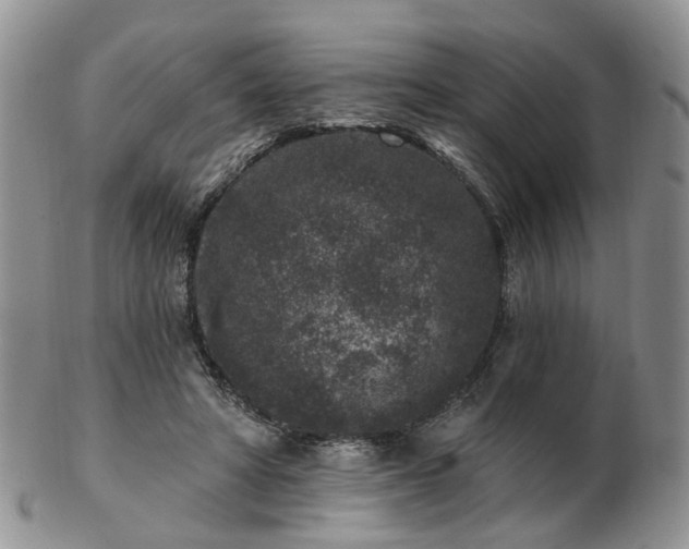 X0000102830402200808251138