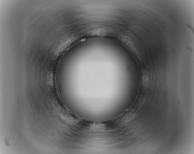 X0000102830403200808251138