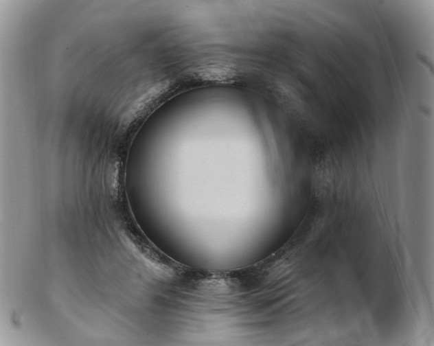 X0000102830404200808251138