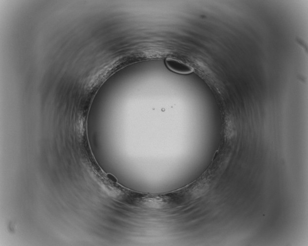 X0000102830405200808251138