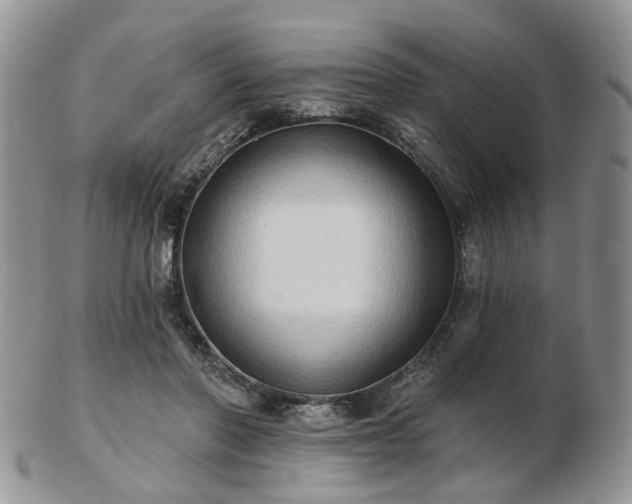 X0000102830406200808251138