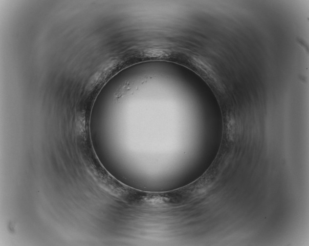 X0000102830407200808251138