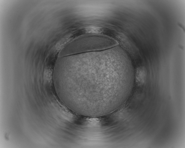 X0000102830409200808251138