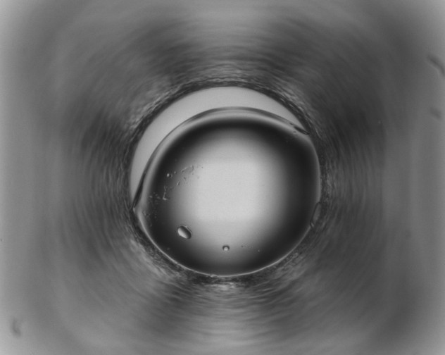 X0000102830411200808251138