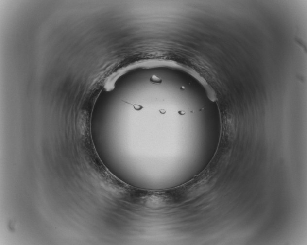 X0000102830412200808251138