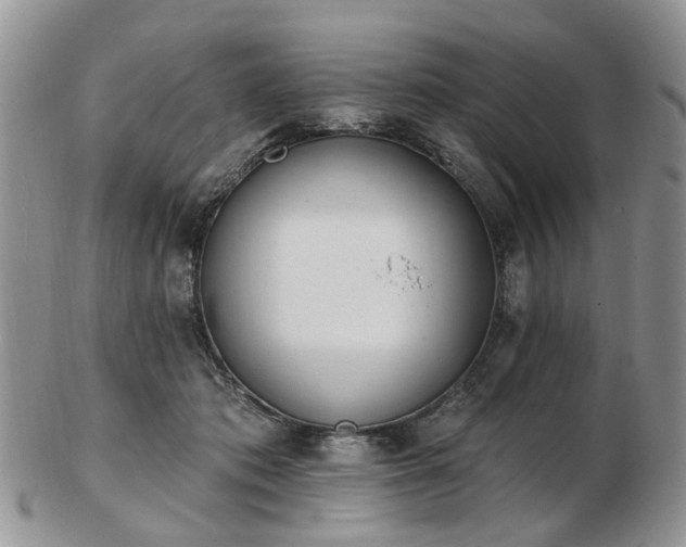 X0000102830413200808251138