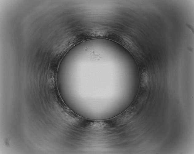 X0000102830414200808251138