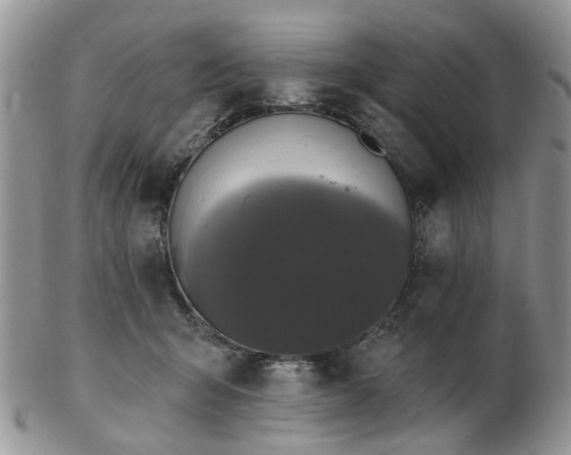 X0000102830415200808251138