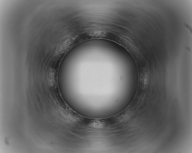 X0000102830416200808251138