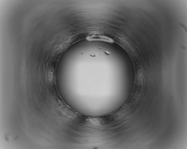 X0000102830417200808251138