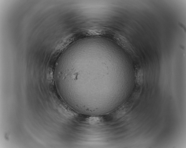 X0000102830418200808251138