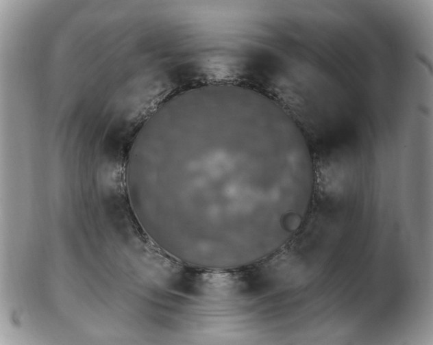 X0000102830419200808251138